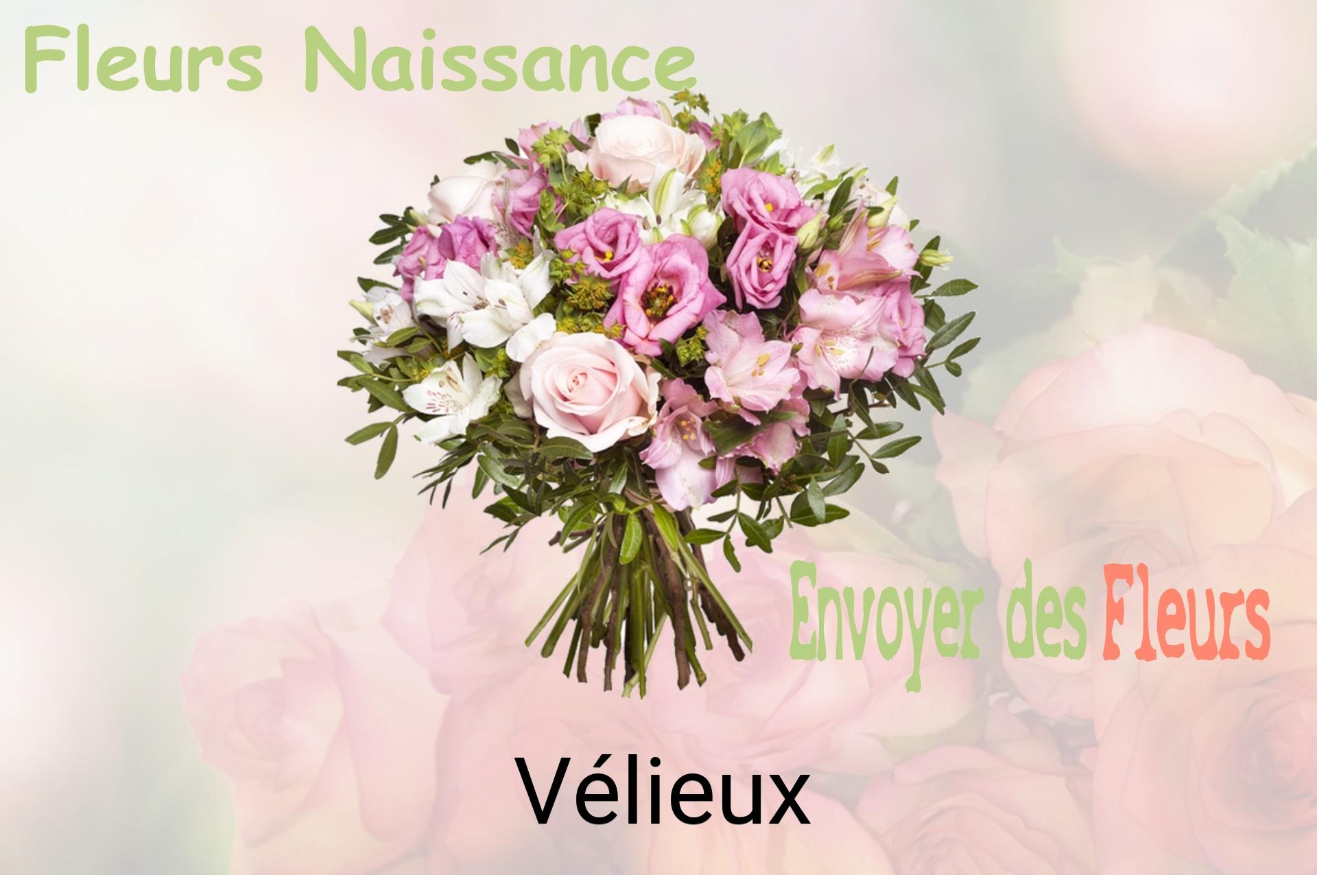 Bouquet de fleurs de naissance livré à Vélieux
